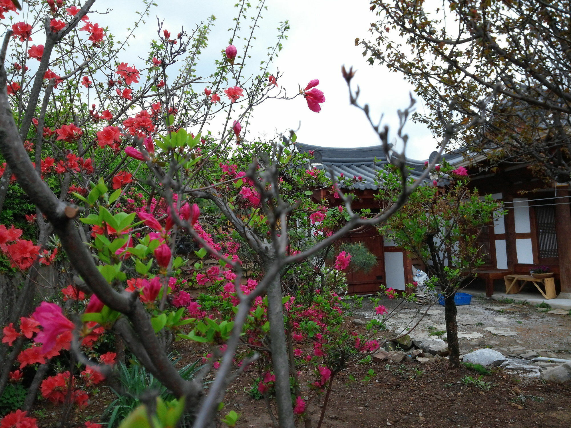 Sodamwon จอนจู ภายนอก รูปภาพ