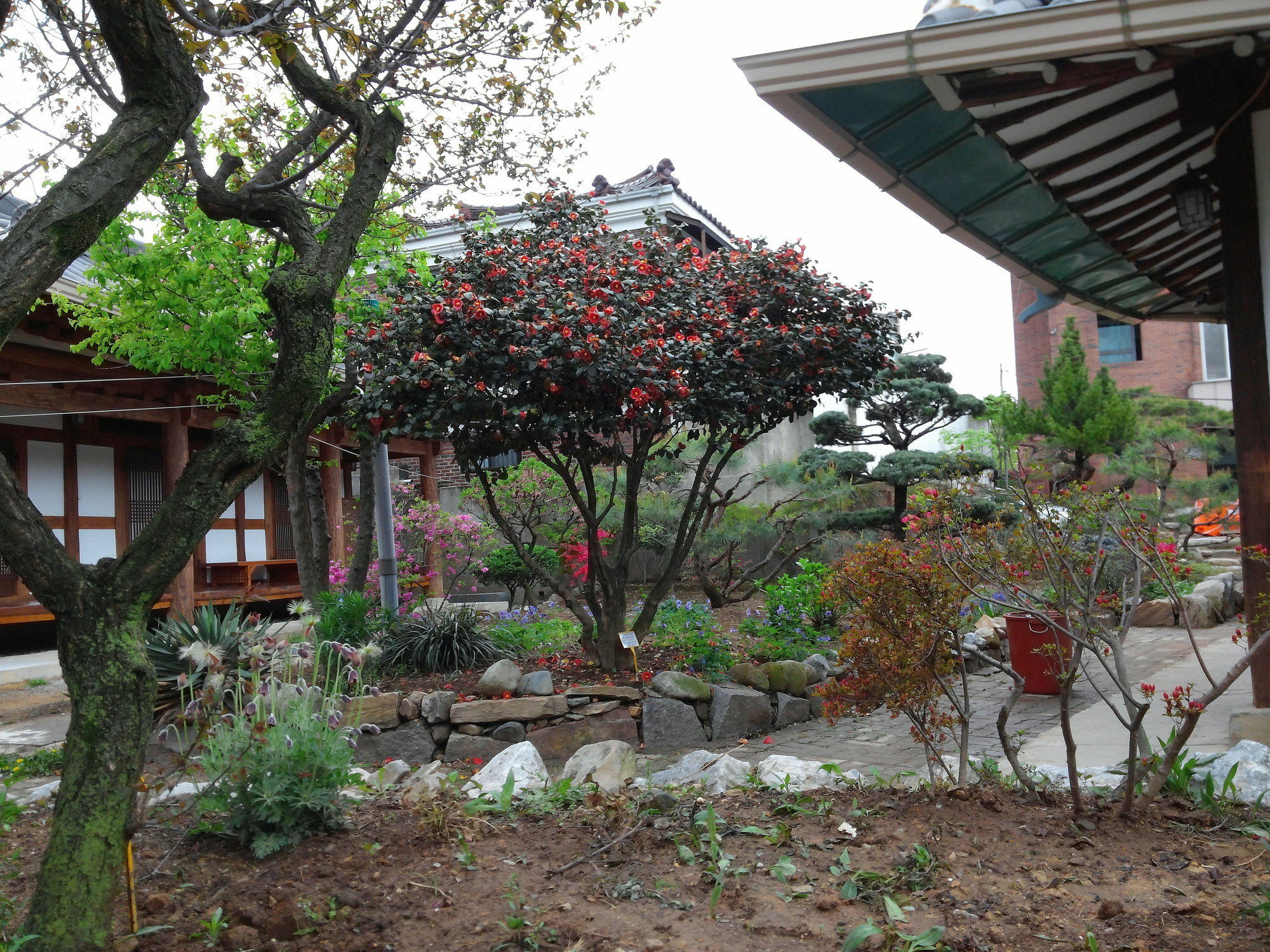 Sodamwon จอนจู ภายนอก รูปภาพ