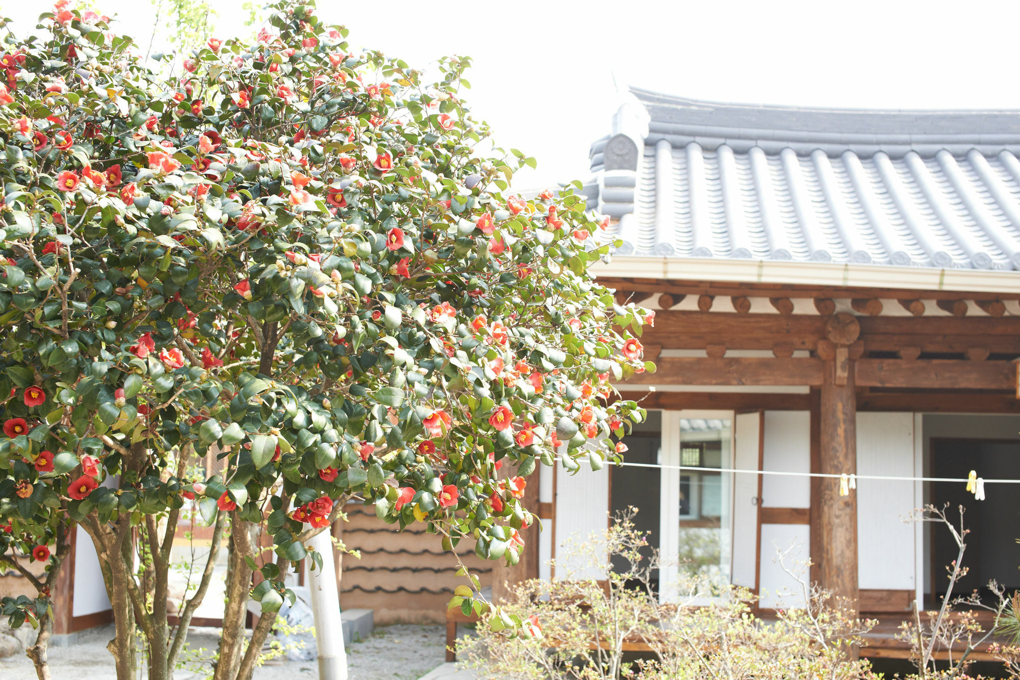 Sodamwon จอนจู ภายนอก รูปภาพ