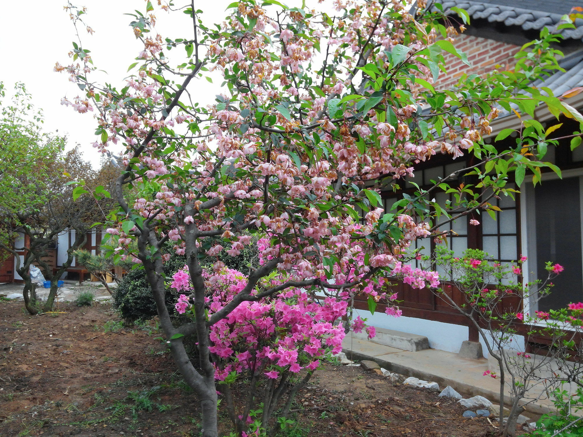 Sodamwon จอนจู ภายนอก รูปภาพ