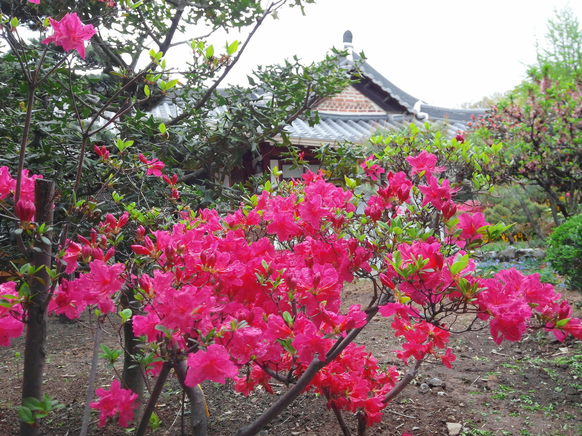 Sodamwon จอนจู ภายนอก รูปภาพ
